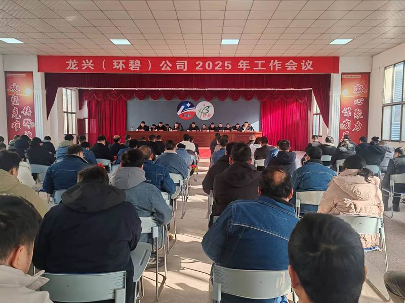 龙兴(环碧)公司召开2025年工作会议